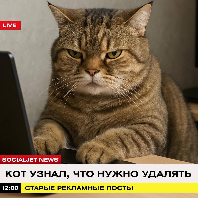 Майские SMM-тренды и контент-план для бренда
