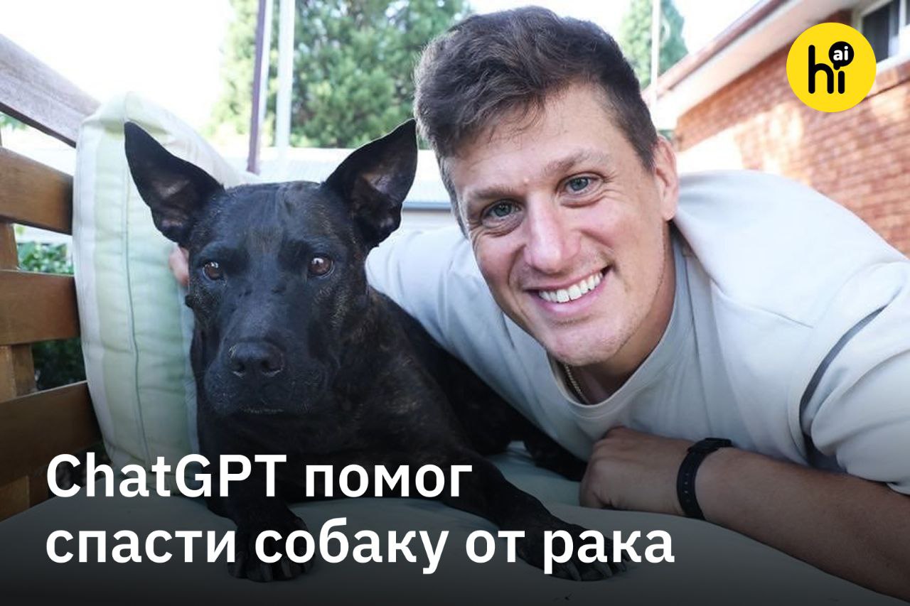 собака Рози
